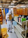 Labores de estabilización del acervo, la Biblioteca Central Universitaria